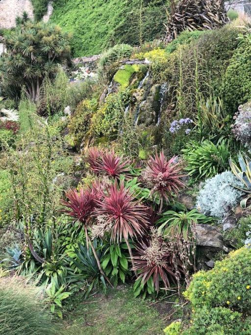 Vila *Stunning* The Botanist Rest Ventnor Iow Exteriér fotografie